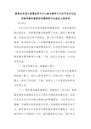 副局长在审计局理论学习中心组专题学习习近平总书记在河南考察时重要讲话精神研讨交流会上的讲话