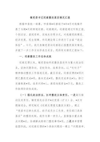 镇党委书记巡察整改落实情况汇报