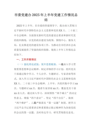 市委党建办2025年上半年党建工作情况总结