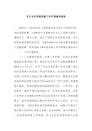 关于全区巡视巡察工作开展情况报告