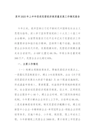 某市2025年上半年促进民营经济高质量发展工作情况报告