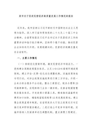 某市关于促进民营经济高质量发展工作情况的报告