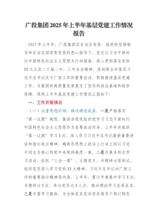 广投集团2025年上半年基层党建工作情况报告