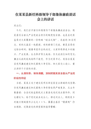 在某某县新任科级领导干部集体廉政谈话会上的讲话