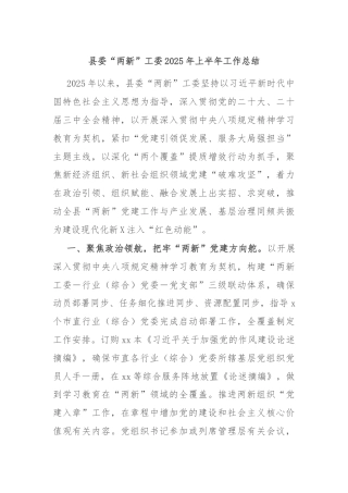 县委“两新”工委2025年上半年工作总结