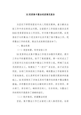 XX党委集中整治进度情况报告