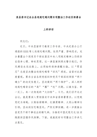 某县委书记在全县违规吃喝问题专项整治工作动员部署会上的讲话