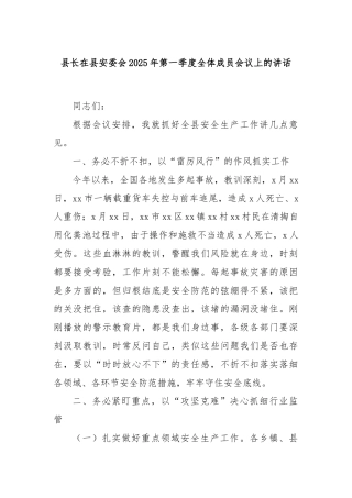县长在县安委会2025年第一季度全体成员会议上的讲话
