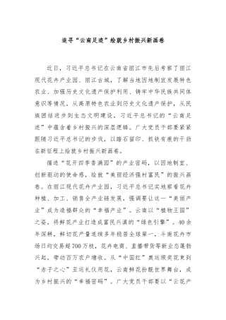 追寻“云南足迹”绘就乡村振兴新画卷