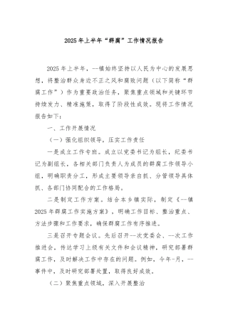 2025年上半年“群腐”工作情况报告