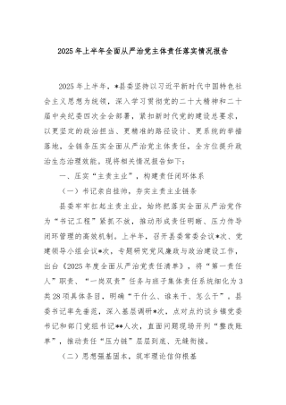 2025年上半年全面从严治党主体责任落实情况报告
