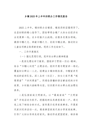 乡镇2025年上半年妇联办工作情况报告