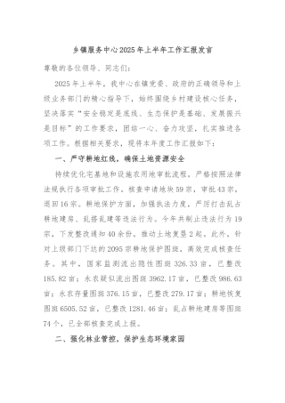 乡镇服务中心2025年上半年工作汇报发言