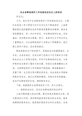 在全省耕地保护工作电视电话会议上的讲话