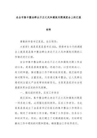 在全市集中整治群众不正之风和腐败问题调度会上的汇报材料