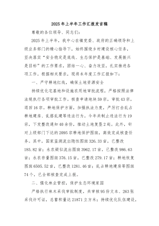 2025年上半年工作汇报发言稿