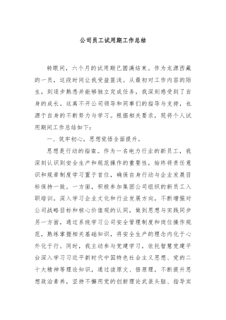 公司员工试用期工作总结