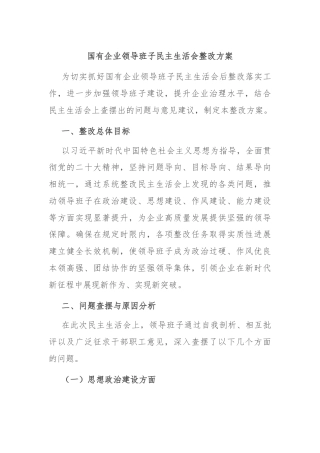 国有企业领导班子民主生活会整改方案