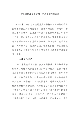 市生态环境局党支部上半年党建工作总结