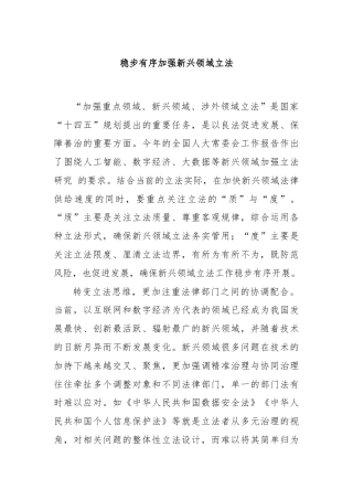 稳步有序加强新兴领域立法