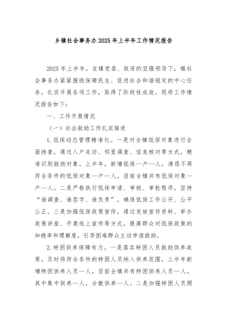 乡镇社会事务办2025年上半年工作情况报告