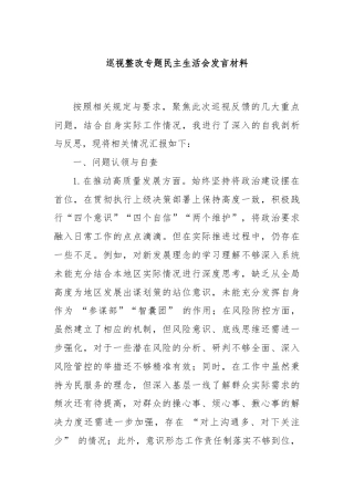 巡视整改专题民主生活会发言材料