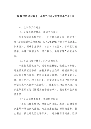 XX镇2025年防溺水上半年工作总结及下半年工作计划