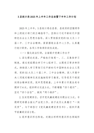 X县统计局2025年上半年工作总结暨下半年工作计划