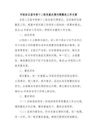 市政协五届市委十二轮巡察反馈问题整改工作方案