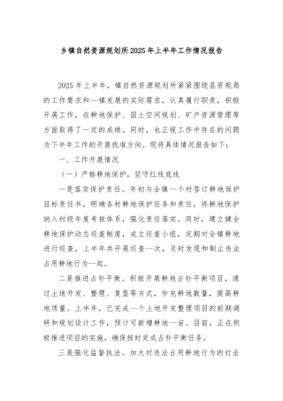 乡镇自然资源规划所2025年上半年工作情况报告