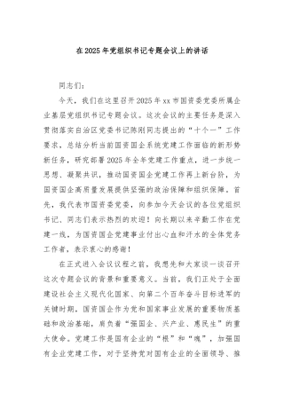 在2025年党组织书记专题会议上的讲话