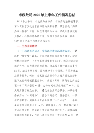 市政数局2025年上半年工作情况总结