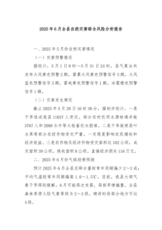 2025年6月全县自然灾害综合风险分析报告