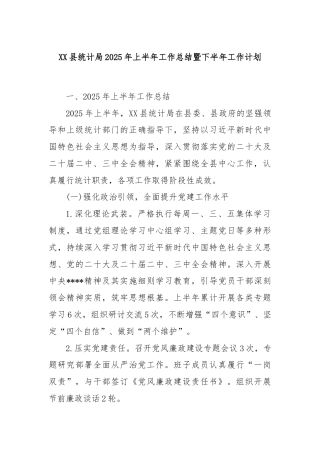 XX县统计局2025年上半年工作总结暨下半年工作计划