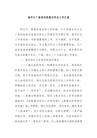 城市文广旅局巡视意识形态工作汇报