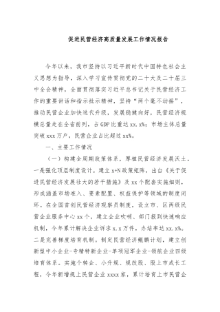 促进民营经济高质量发展工作情况报告