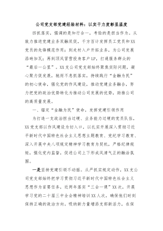 公司党支部党建经验材料：以实干力度彰显温度