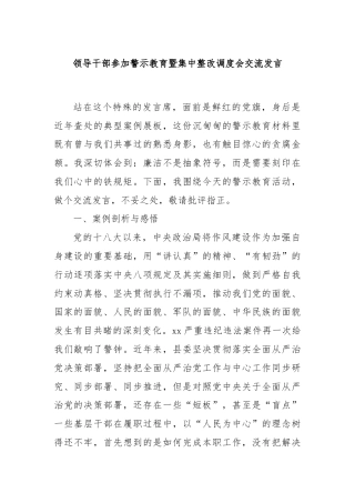 领导干部参加警示教育暨集中整改调度会交流发言