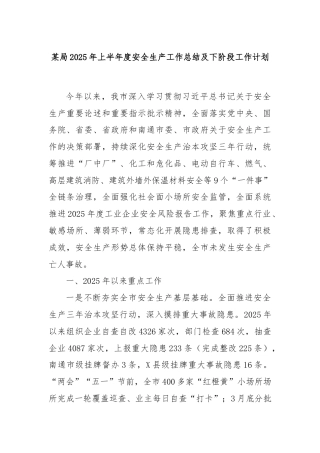 某局2025年上半年度安全生产工作总结及下阶段工作计划
