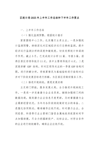 区统计局2025年上半年工作总结和下半年工作要点