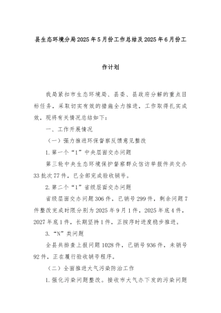 县生态环境分局2025年5月份工作总结及2025年6月份工作计划