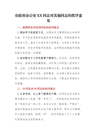 市政府办公室XX同志对其他同志的批评意见