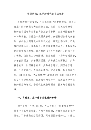 党课讲稿：筑梦新时代奋斗正青春