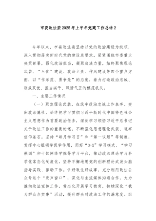 市委政法委2025年上半年党建工作总结2