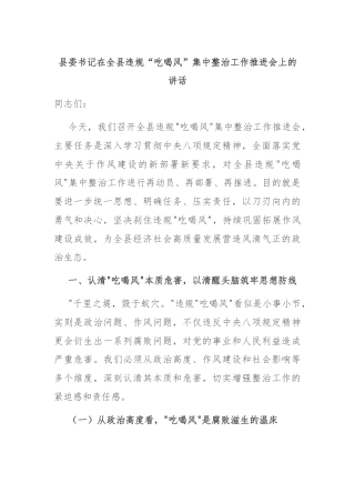 县委书记在全县违规“吃喝风”集中整治工作推进会上的讲话