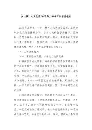 乡（镇）人民政府2025年上半年工作情况报告