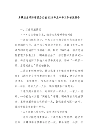 乡镇应急消防管理办公室2025年上半年工作情况报告