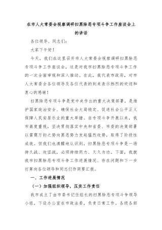 在市人大常委会视察调研扫黑除恶专项斗争工作座谈会上的讲话