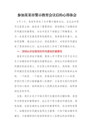 参加某某市警示教育会议后的心得体会