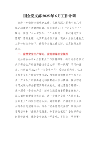 国企党支部2025年6月工作计划